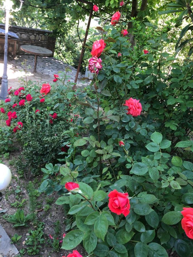 Mate Guesthouse Szenaki Kültér fotó
